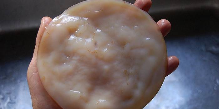 Proprietățile vindecătoare ale Kombucha