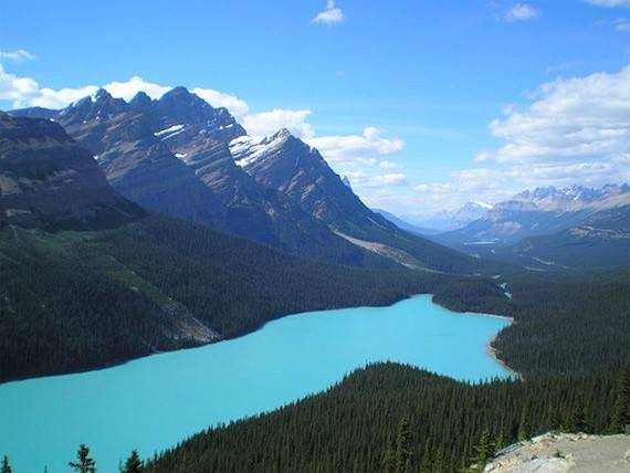  Peyto