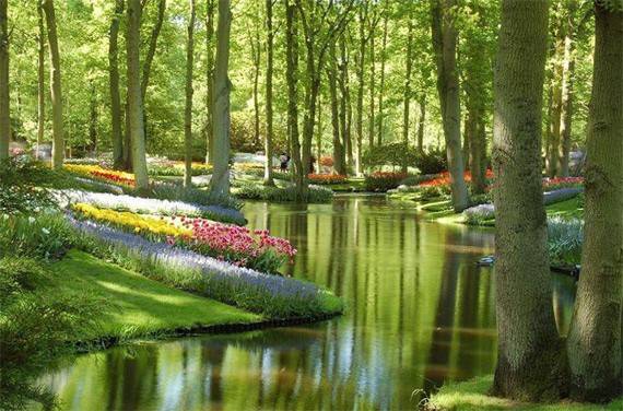 Keukenhof ในเนเธอร์แลนด์