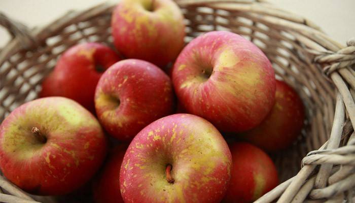 Rote Äpfel für die Ernährung