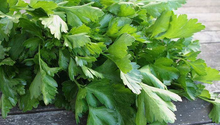Feuilles de persil