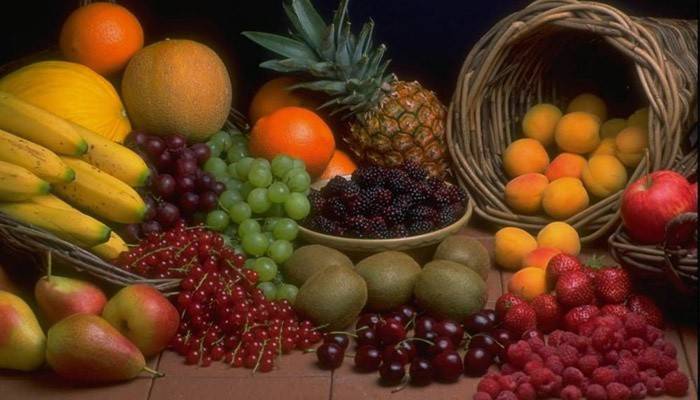 منتجات التغذية