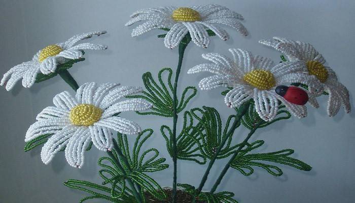 Pītās margrietiņas