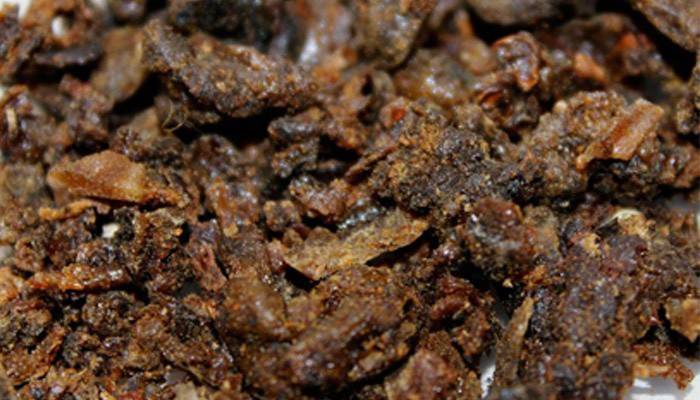 Bičių propolis