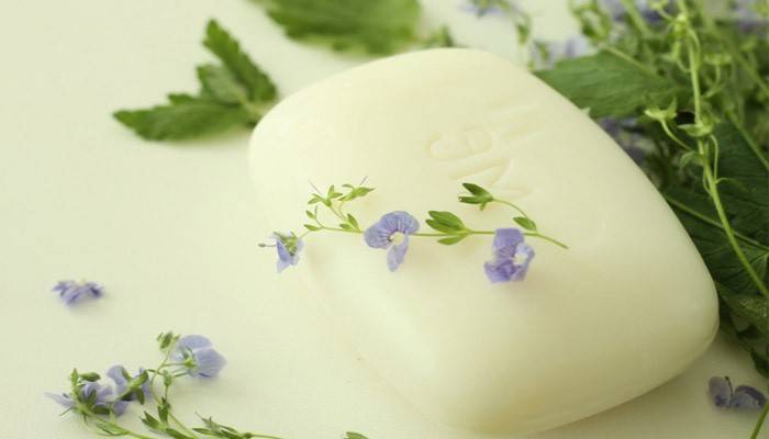 Sapone da bucato Papilloma