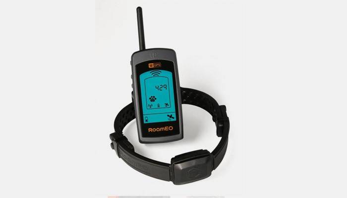 Koiran GPS-kaulus