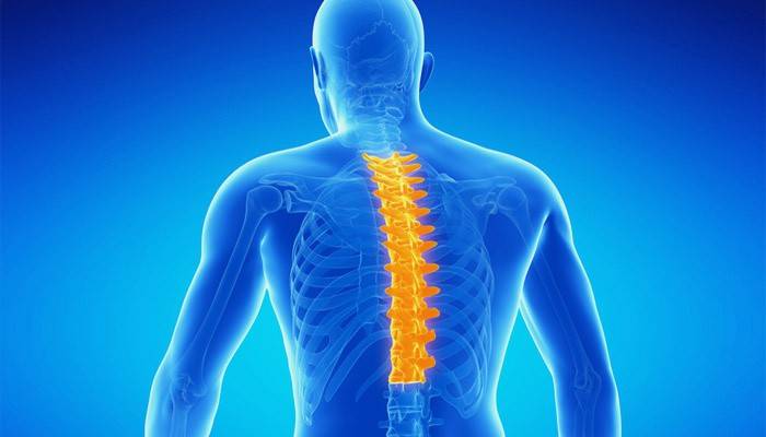 Área dolorosa na coluna vertebral humana