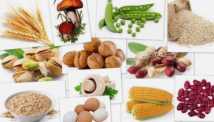 Продукти на пантотенова киселина