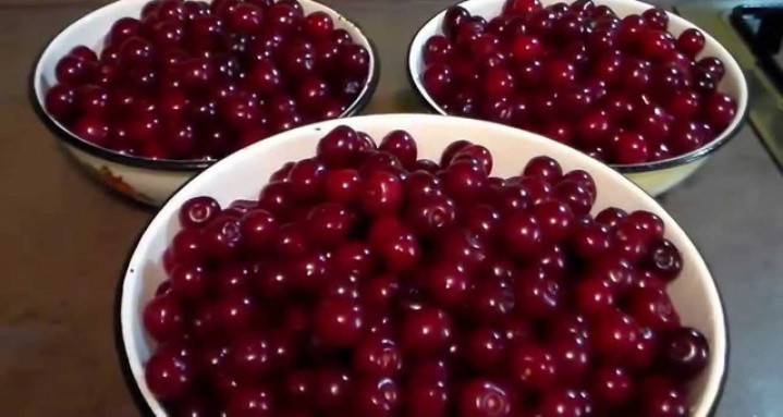 Frutas frescas preparadas
