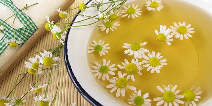 Caldo de camomila para restauração capilar