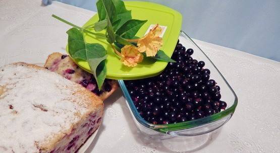 Berry dessert