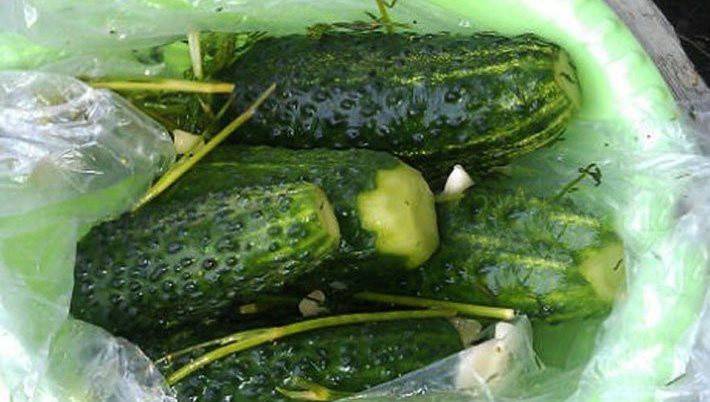مكونات السيلوفان