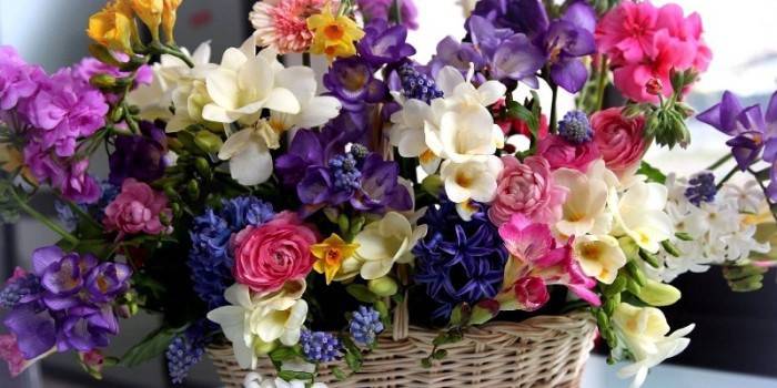 Une belle combinaison de différentes couleurs dans un seul bouquet