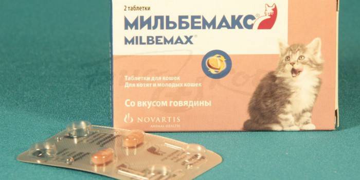 Milbemax από σκουλήκια σε γατάκια