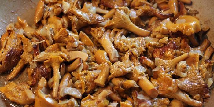 Chanterelles kızartma nasıl