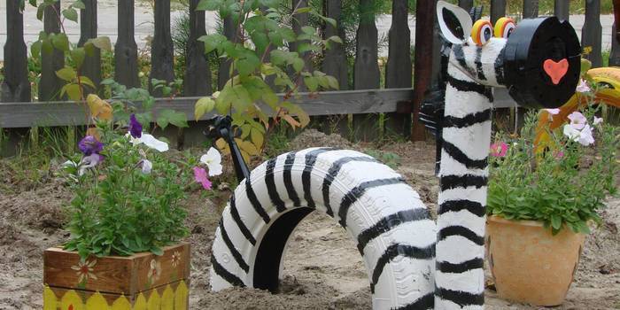 Padangų zebras