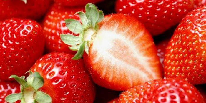 Caractéristiques de Strawberry Freeze