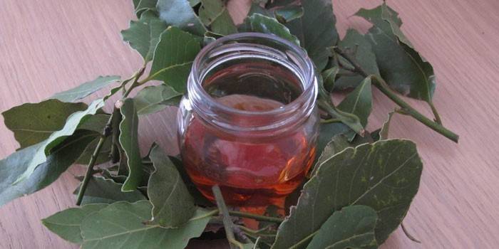 Infuso di foglie di alloro in un barattolo
