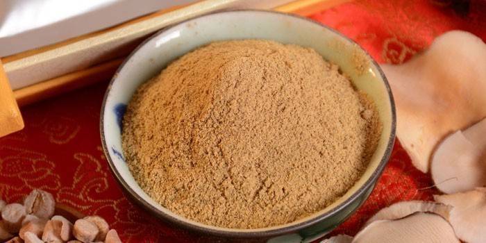 garcinia cambogia in polvere in un piatto