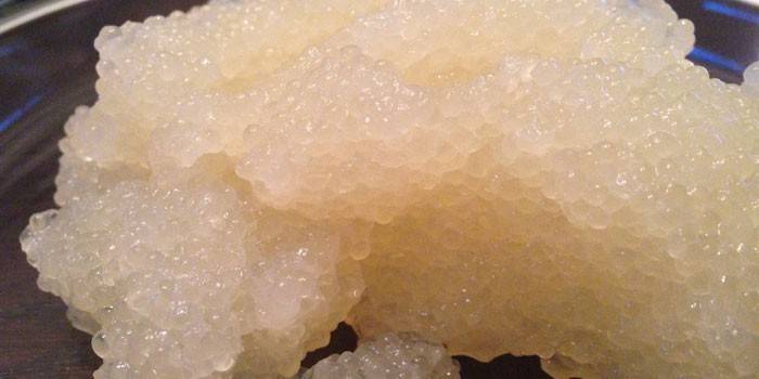 Caviar Halibut