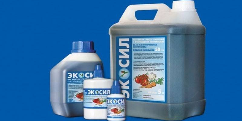 EcoSil