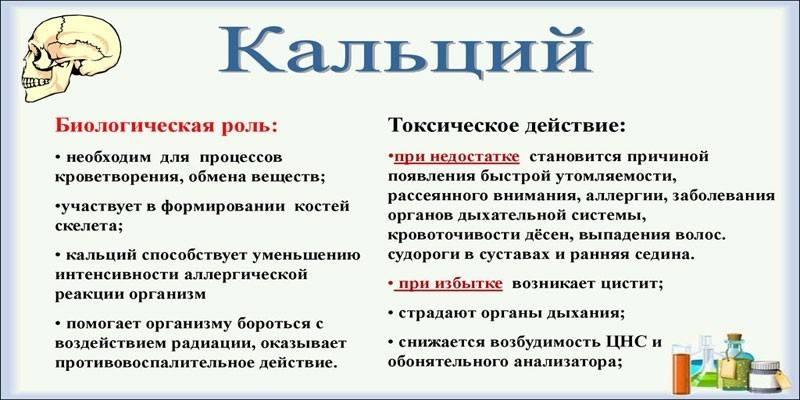 Ролята на калция в човешкото тяло