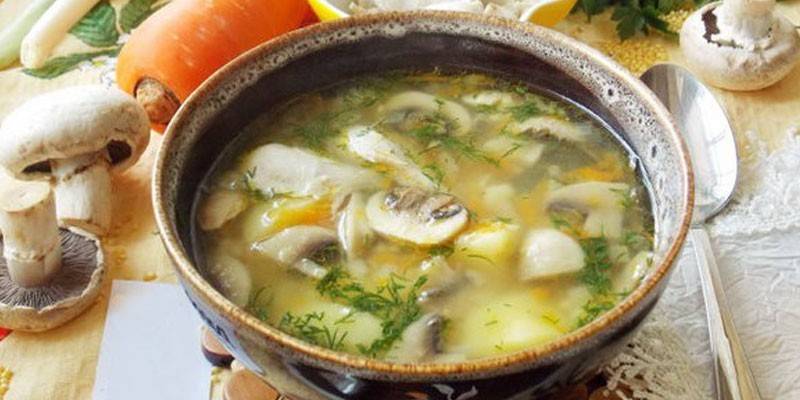 ซุปไก่สต็อคพร้อมแชมเปญ