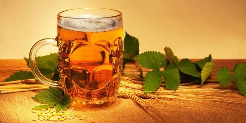 Menthe dans un verre