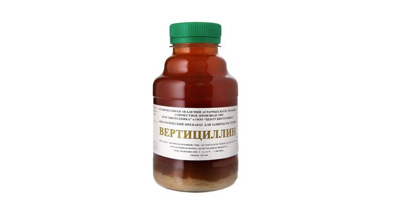 Вертициллин