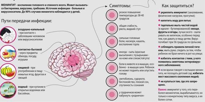 Serose meningiitti - leviämisreitit, oireet ja ehkäisy
