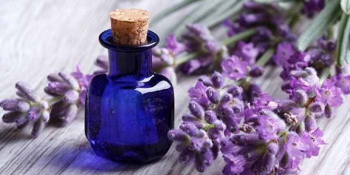 Lavender oil and branch