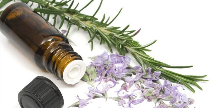 Rosemary oil and branch