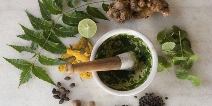 Bouillie de plantes médicinales dans un mortier