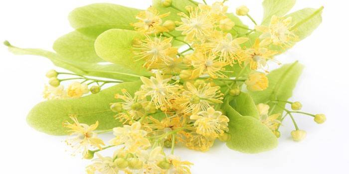 Couleur citron vert