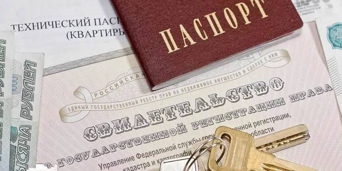 Documents d'assurance