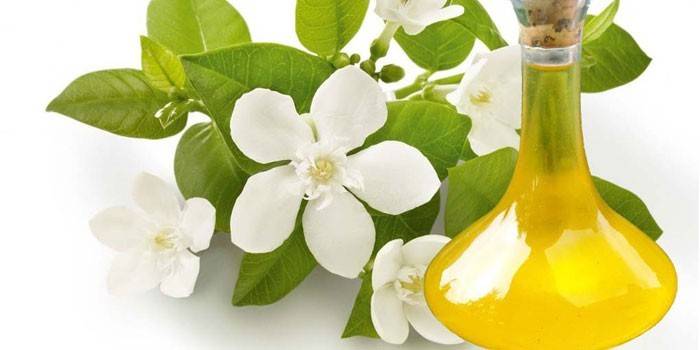 Essential olie og neroli blomster