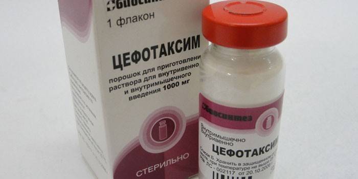 Cefotaxime powder