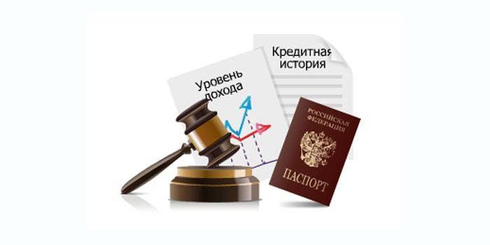 Teismo kaladėlės, pasas, pajamų deklaracija ir kredito istorija