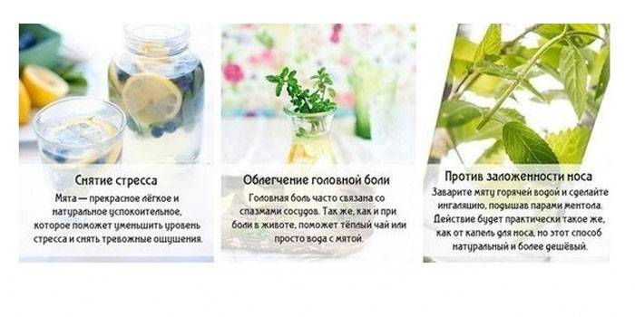 Piparminttua teen hyödyt