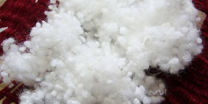 Eriste hollofiber