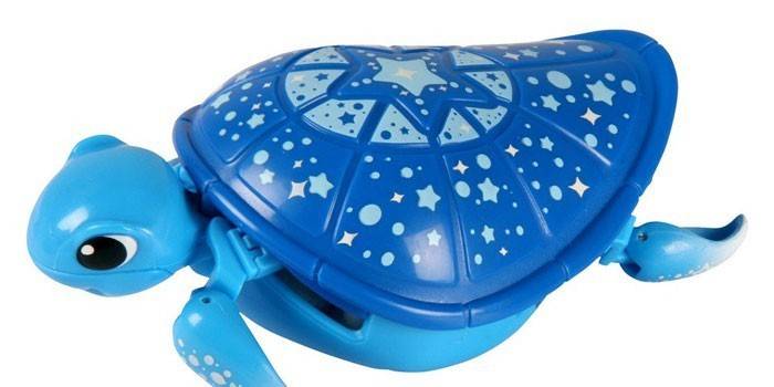 Turtle Moose Küçük Canlı Evcil Hayvanlar