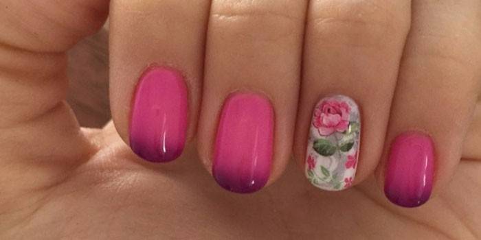 Idees de manicura