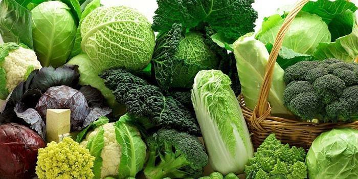 Different types of cabbage
