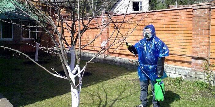 Mies ripustaa puita sinisellä vitriolilla
