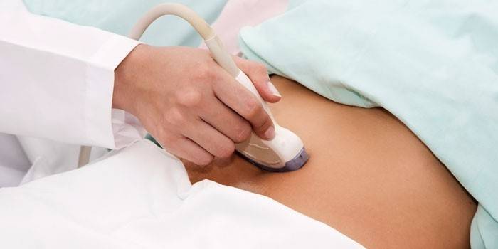 Gydytojas atlieka dubens organų ultragarsinį tyrimą
