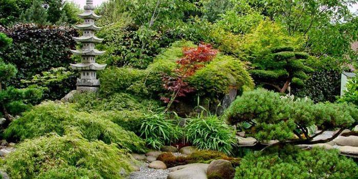 Landschaftsbau im japanischen Stil