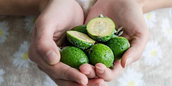 Feijoa-hedelmät kämmenissä