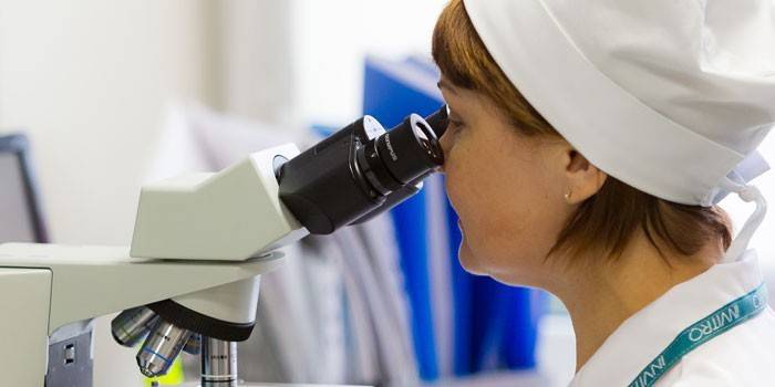 Ricerche di laboratorio