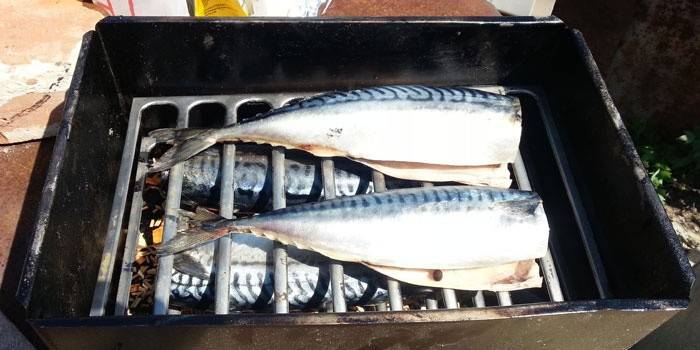 Karsti kūpināta skumbrija