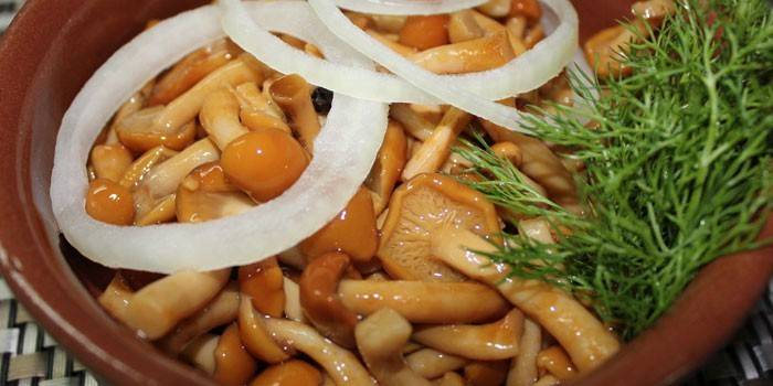 Champignons au miel marinés